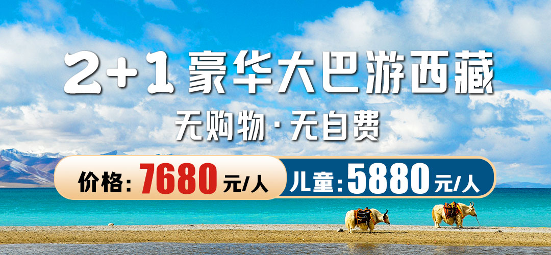 2+1豪华大巴价格表